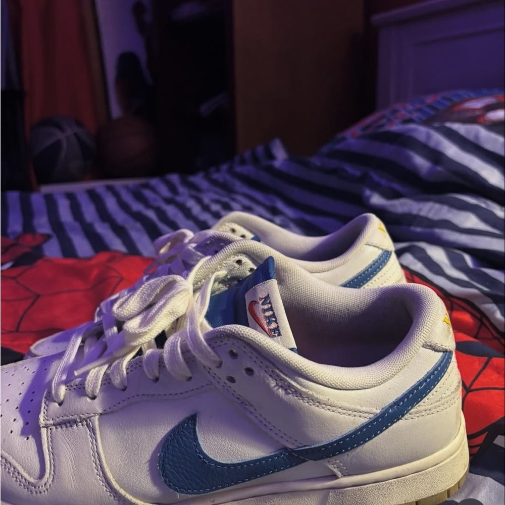 Nike Dunks Size 9